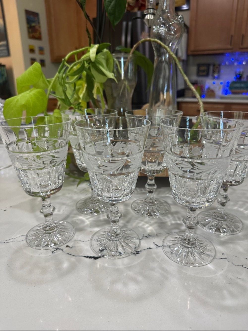 Vintage Crystal Etched Wine Glasses - Clear - Unbranded